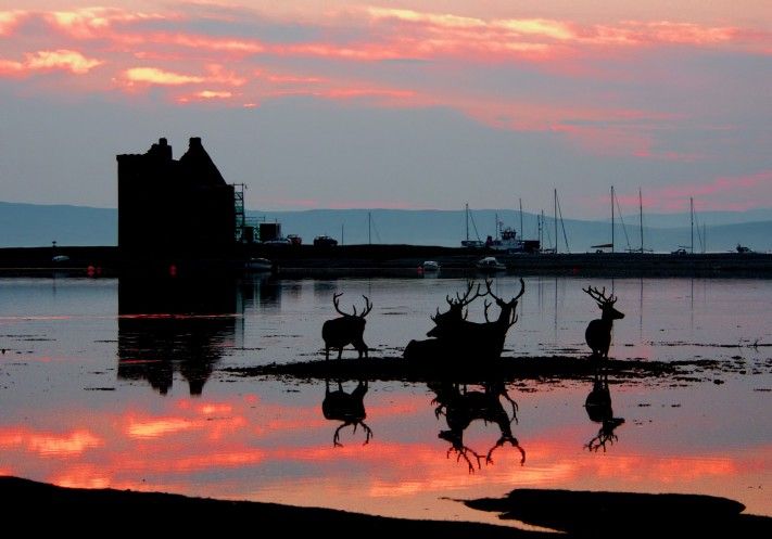 A beginner's guide to the Isle of Arran