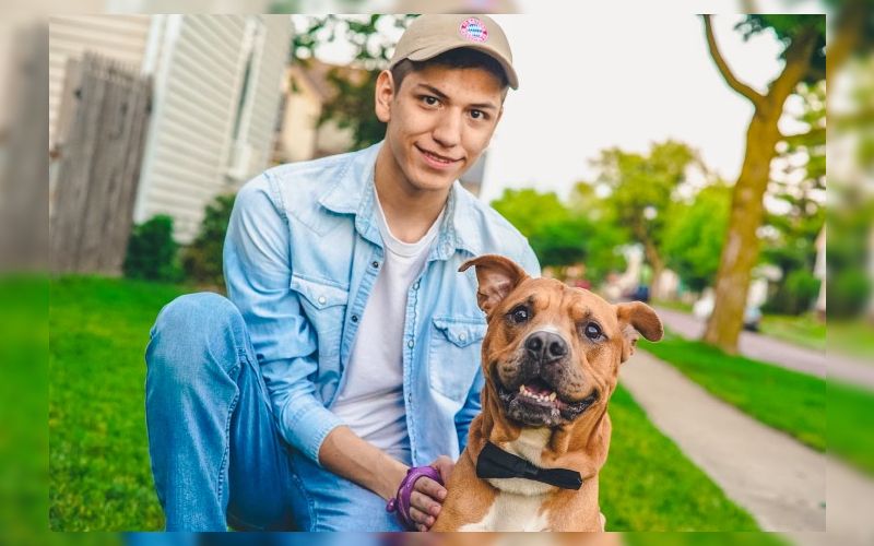 Should I get a dog?