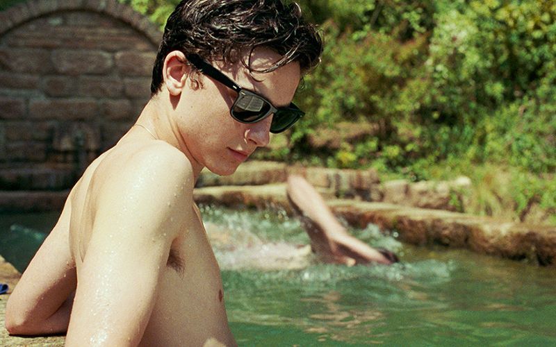 Is it too early to declare Call Me By Your Name a modern queer classic?