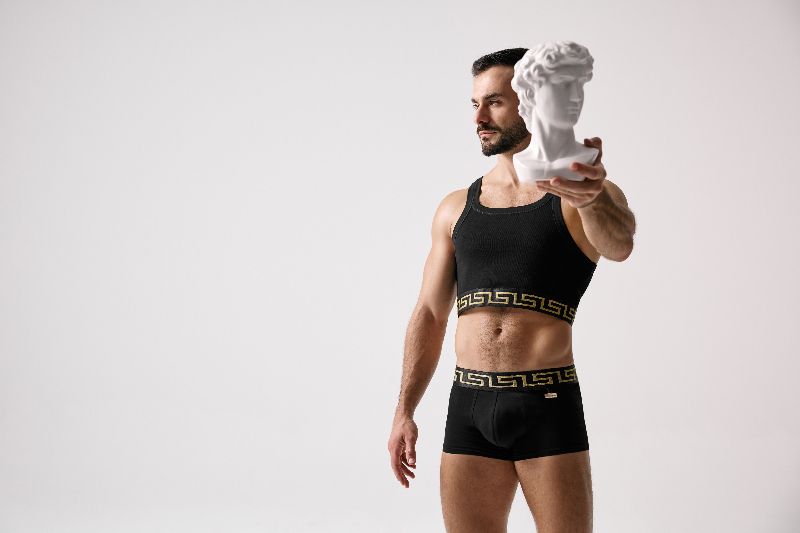 Underwear Alert: Modus Vivendi