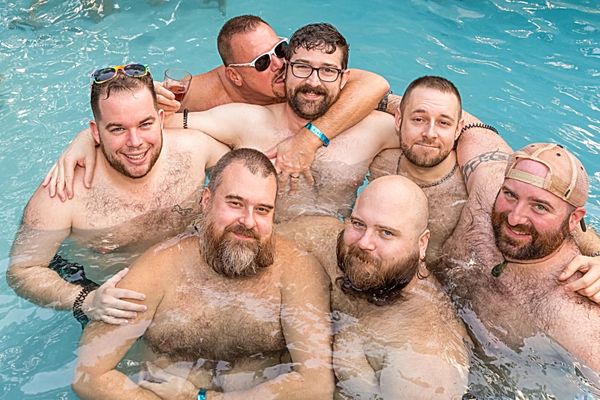Bears: A beefy buffet of big boys with bounce.