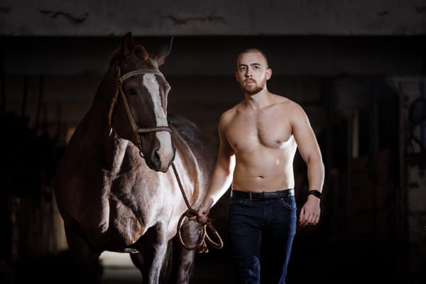 After Dark: Horses