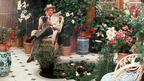 What's on in London: Cecil Beaton's Garden Party